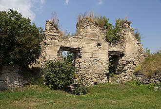 Panivtsi castle