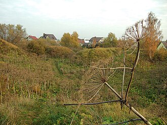 Eighth Fort
