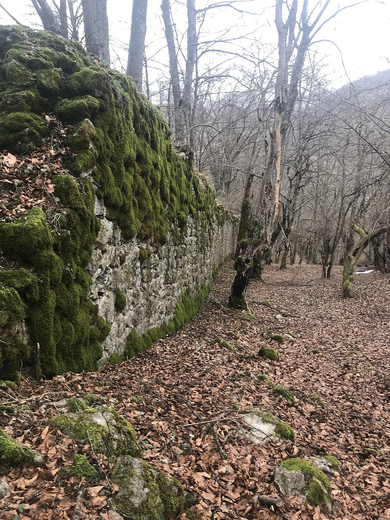 Pavlovac Fortress（ボスニア・ヘルツェゴビナ）