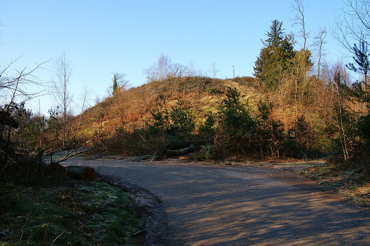 Motte Montferland w Holandii
