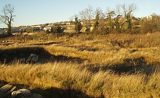 Carrickmines Castle