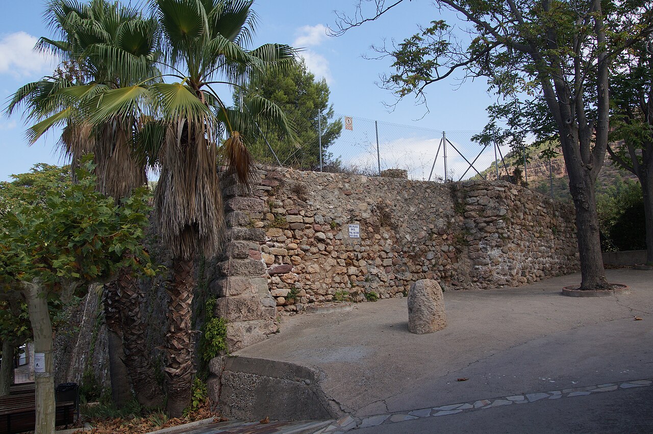 Castle of Toga in Spain