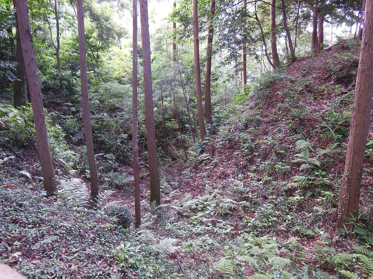 Noda Castle in Japan
