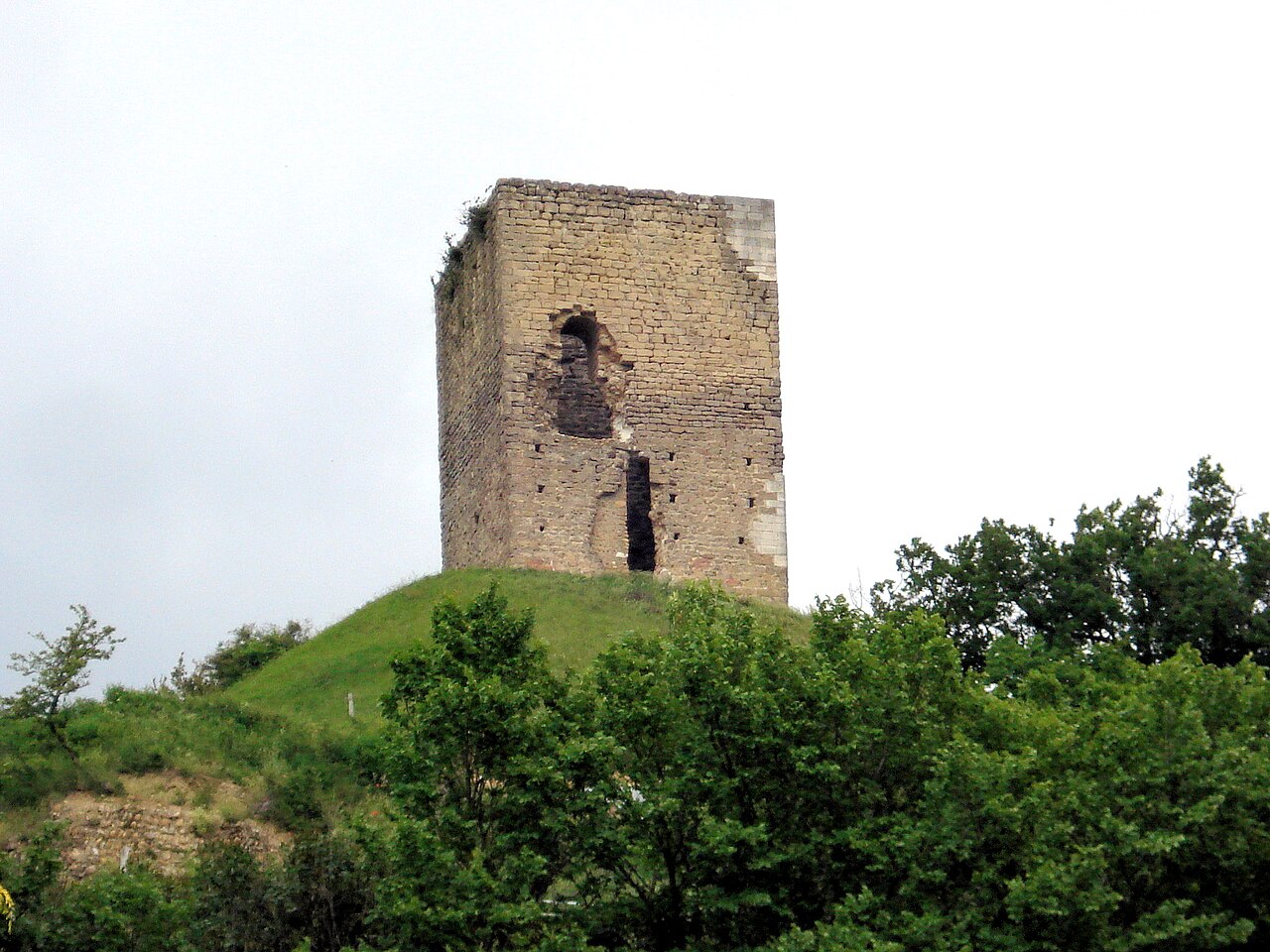 Château d'Albon in Frankreich