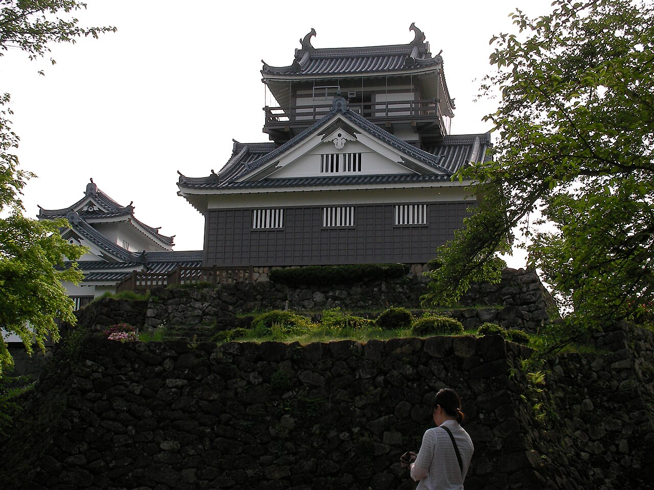 大野城 (越前国)（日本）