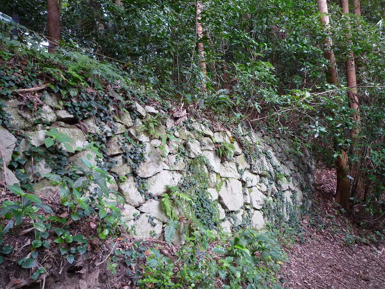 Tachibana Castle in Japan