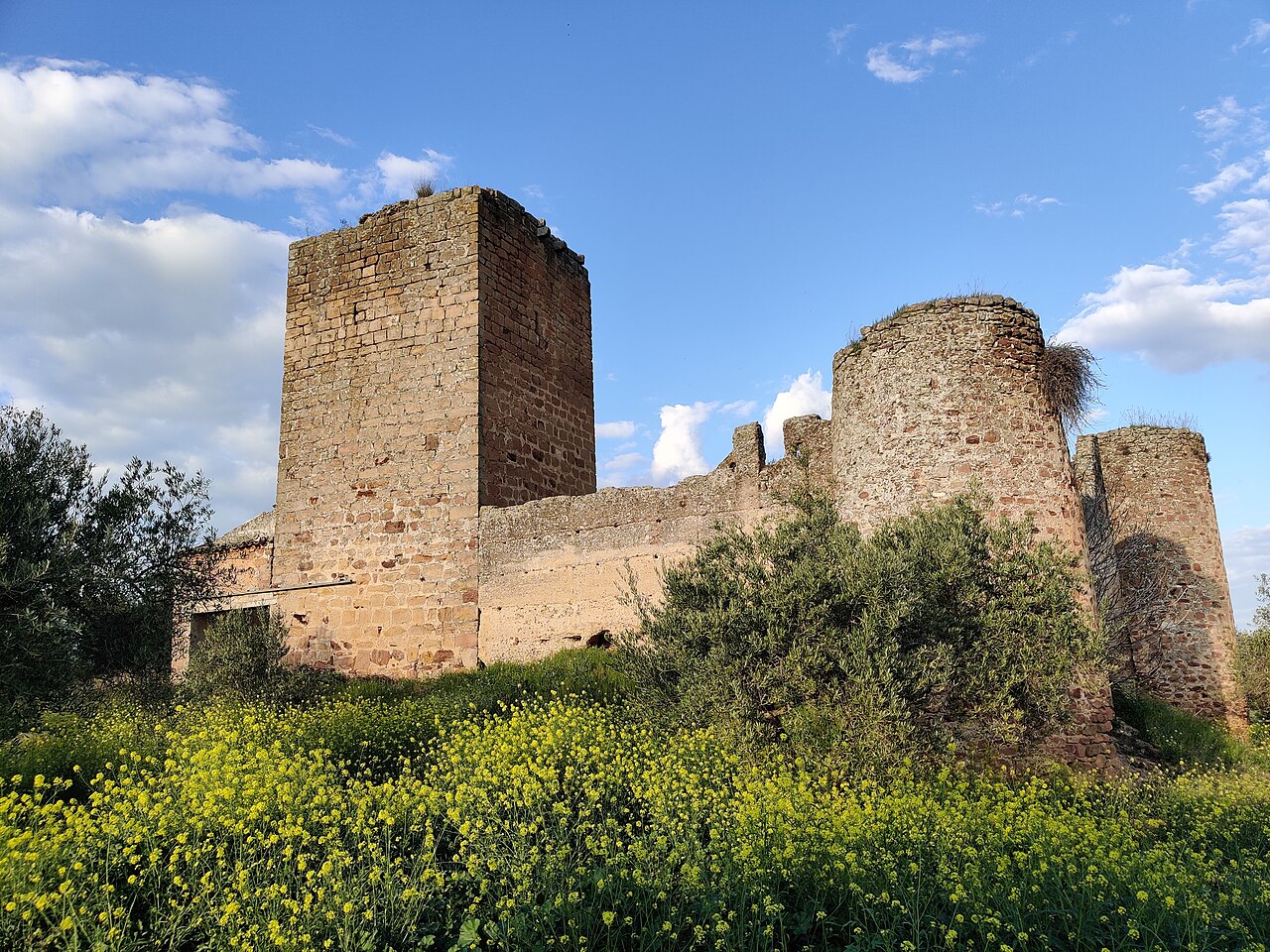 Castillo de la Aragonesa en Espagne