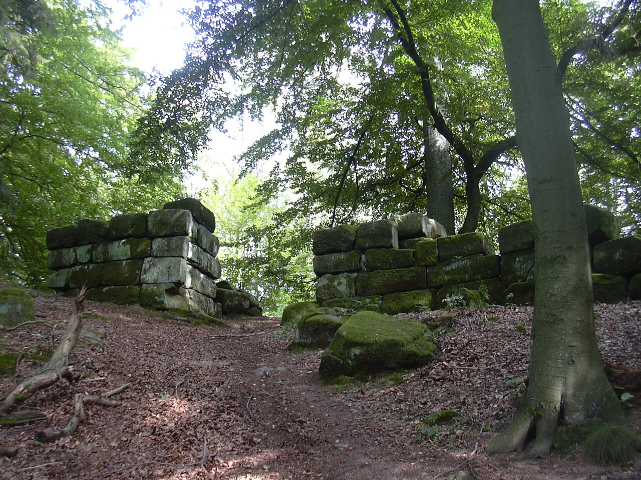 Heidelsburg in Germany