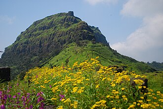 Rajgad Fort