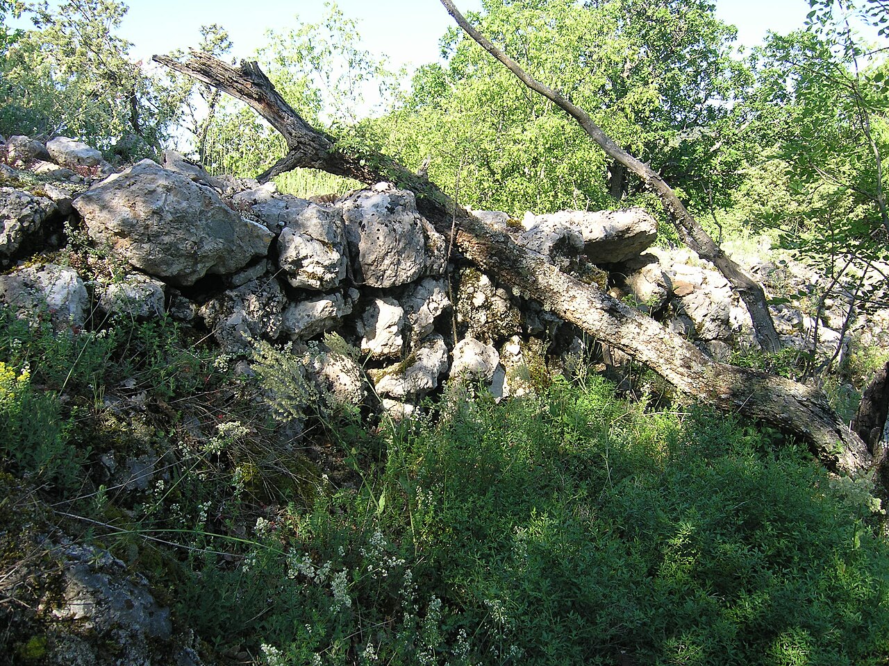 Asarane Burun in der Ukraine