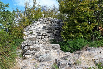 Borač Castle