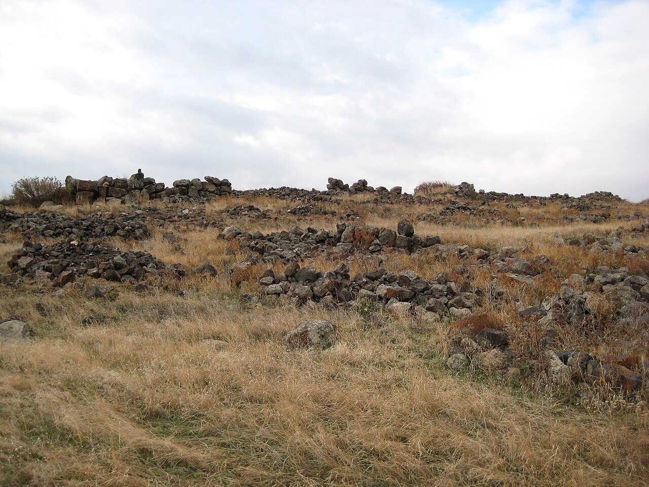 Ushiberd in Armenia