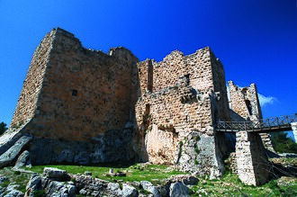 Unayzah, Jordan