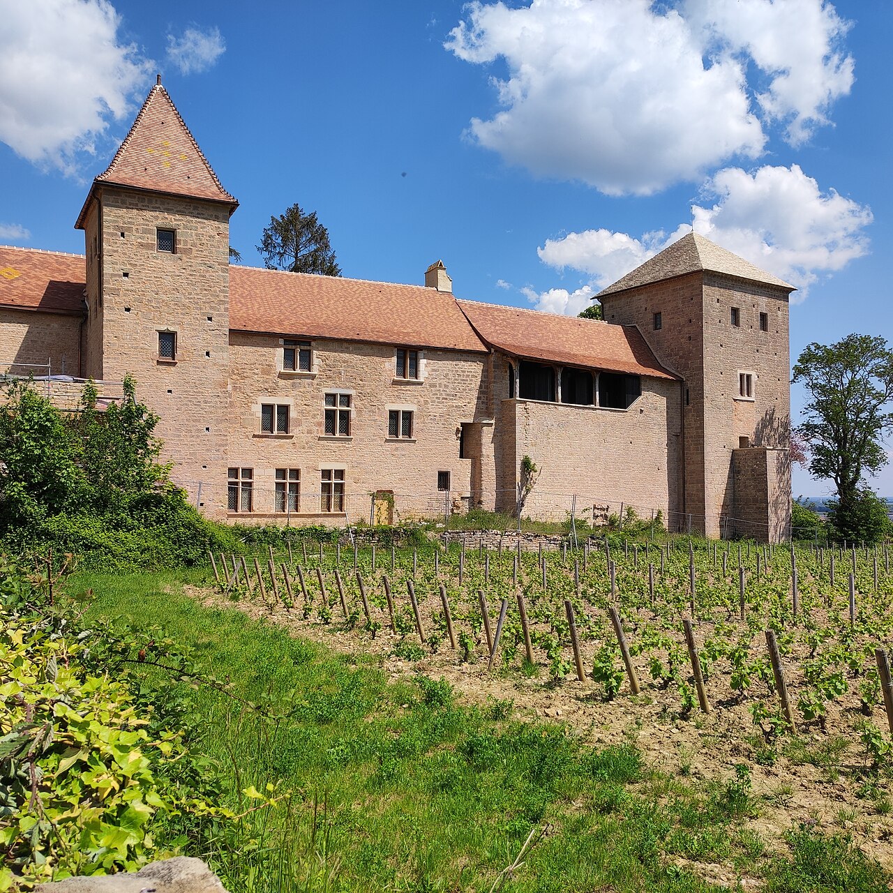 Château de Gevrey-Chambertin in France