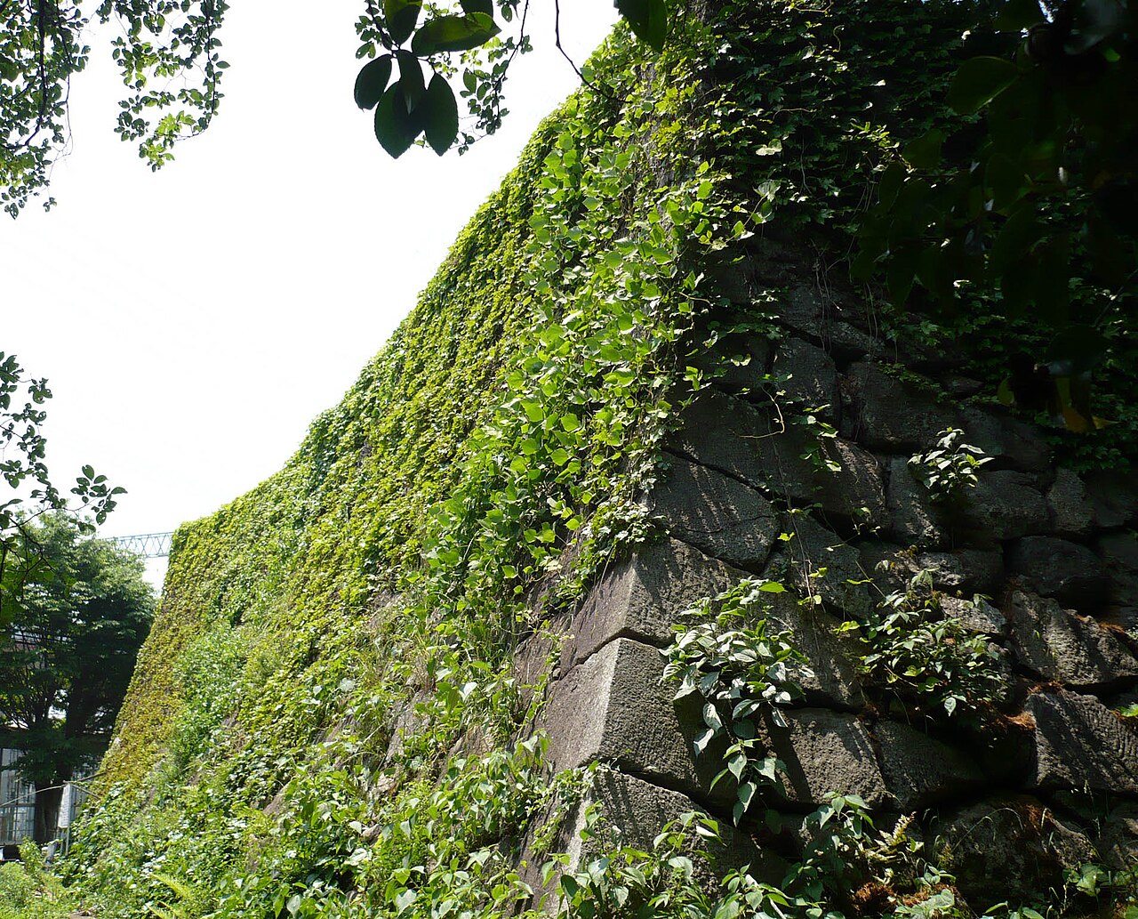 Yodo Castle w Japonii