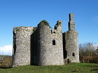 Ballinafad Castle