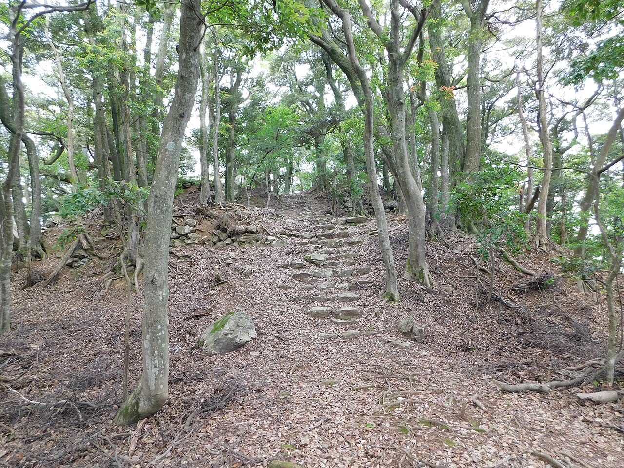 Nochiseyama Castle in Japan