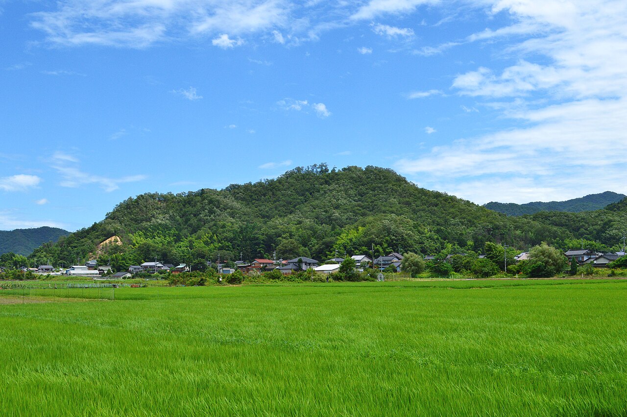Konosumiyama Castle w Japonii