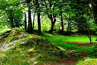 Ballyallaban ringfort