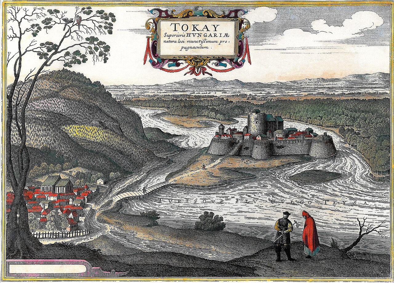 Tokaj Castle in Hungary