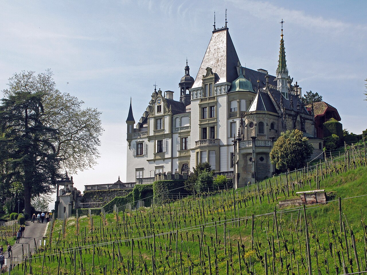 Meggenhorn in der Schweiz