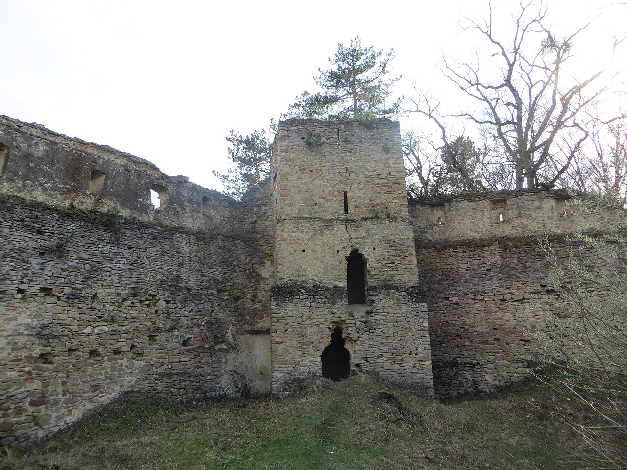 Saschiz fortress in Romania