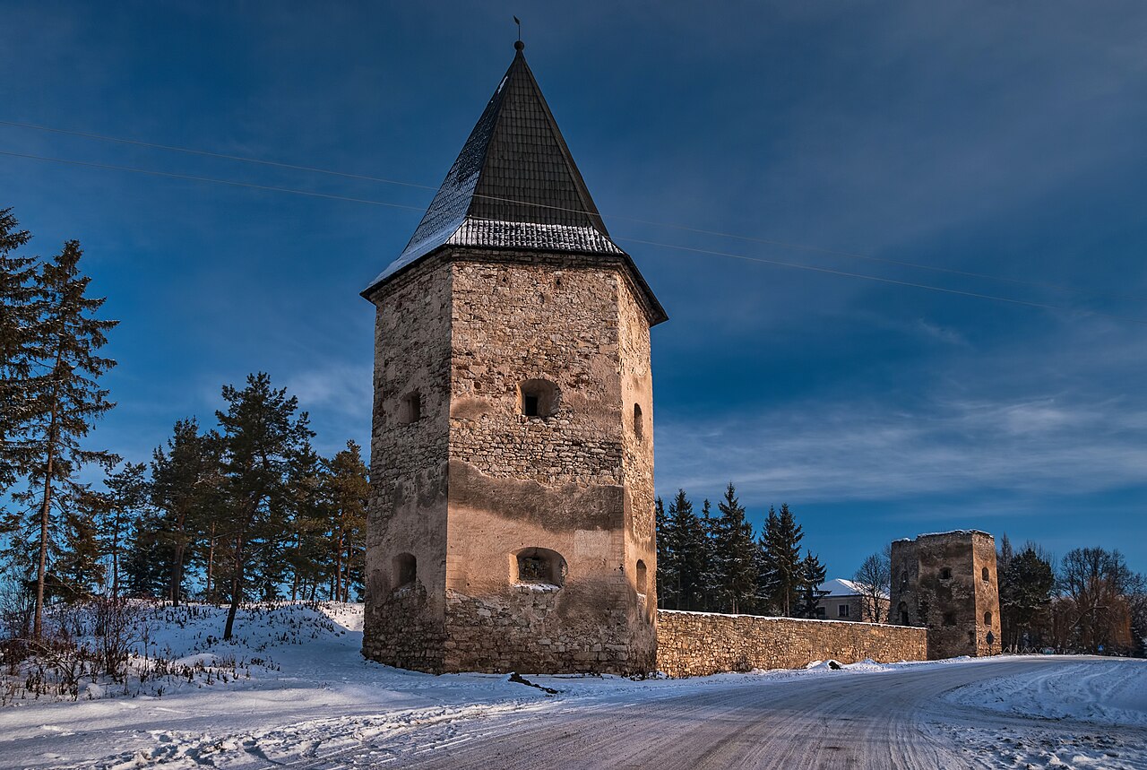 Кривченський замок в Україні