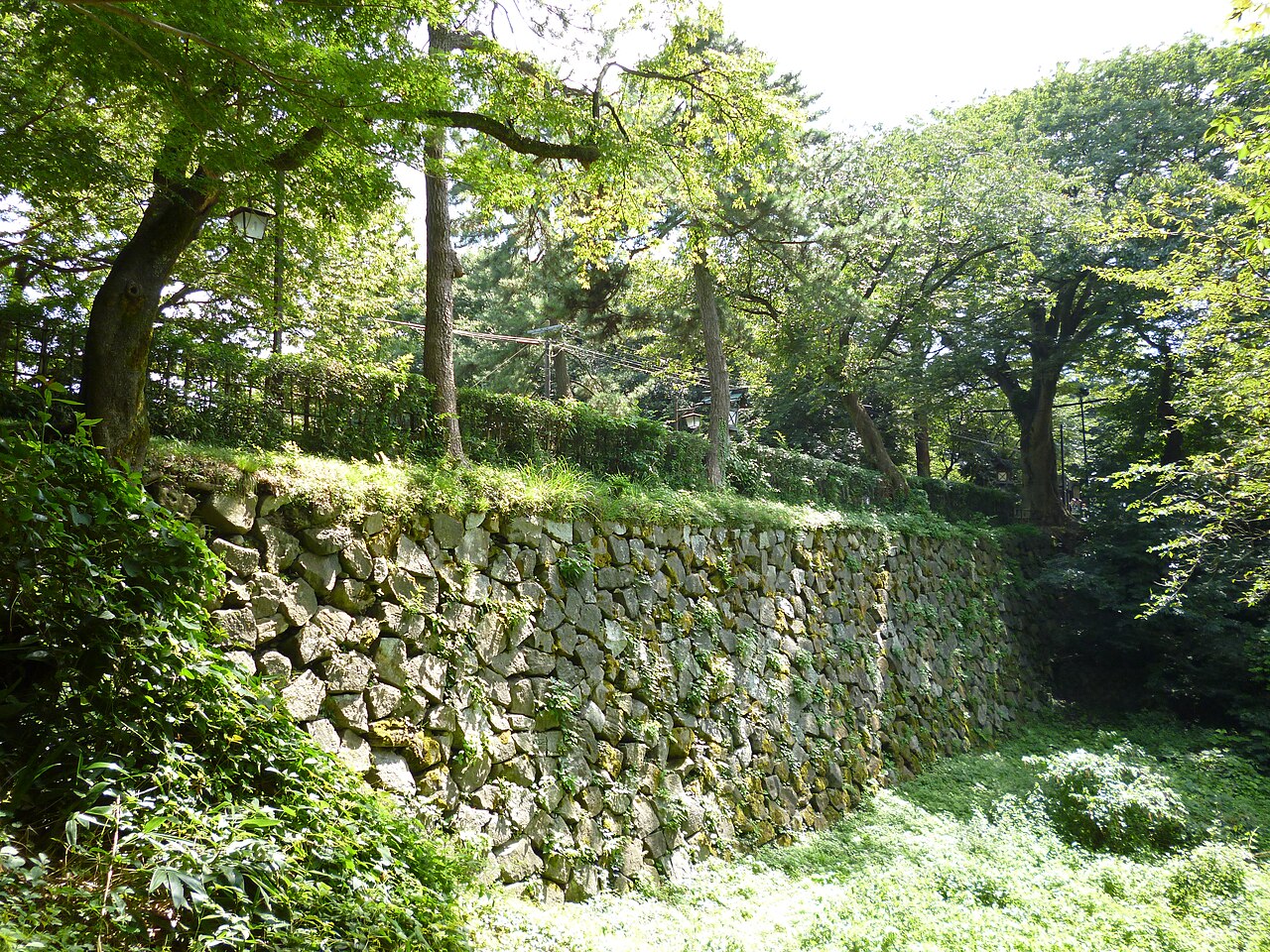 Takaoka Castle в Японії