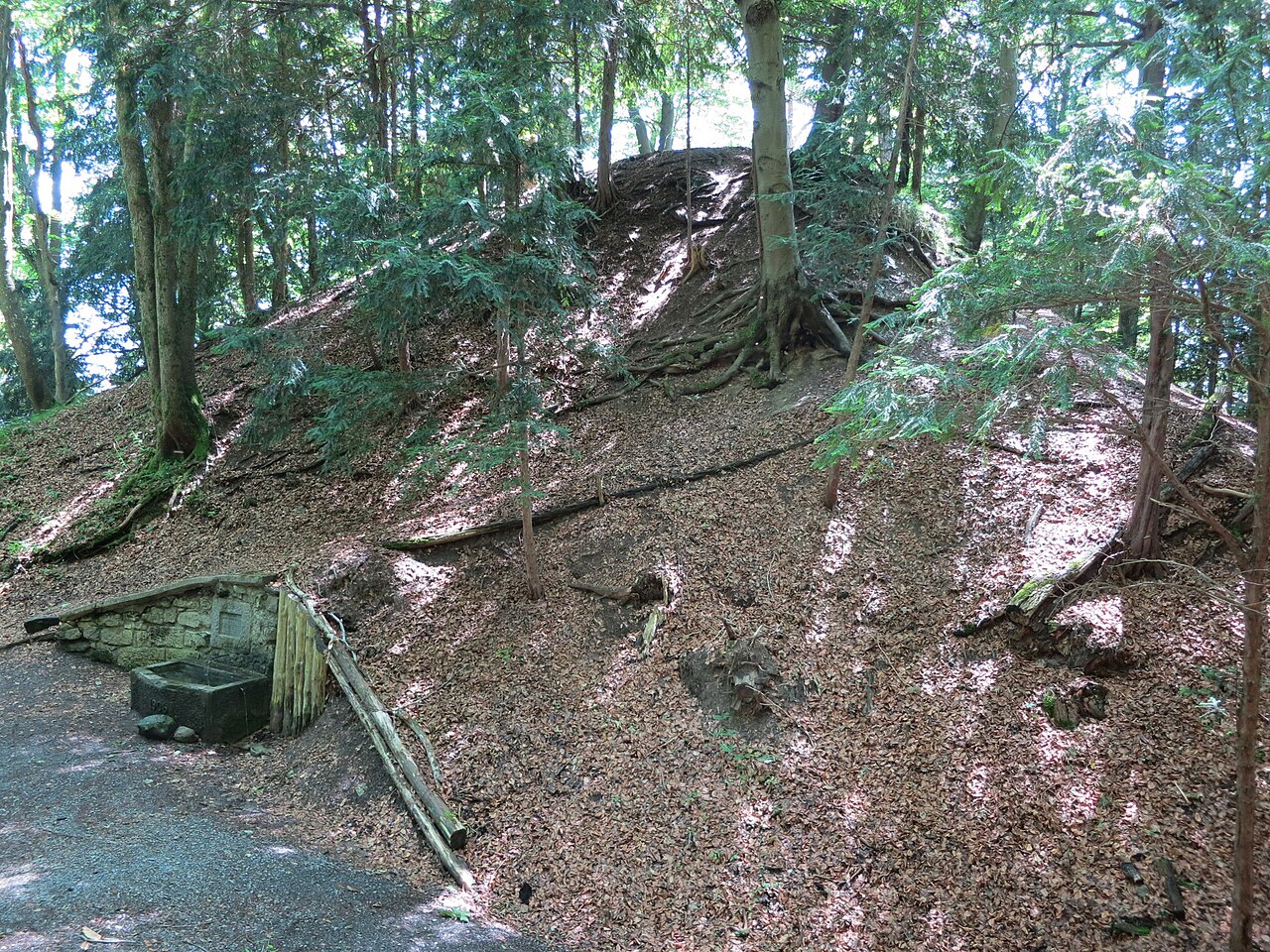 Manegg Castle у Швейцарії