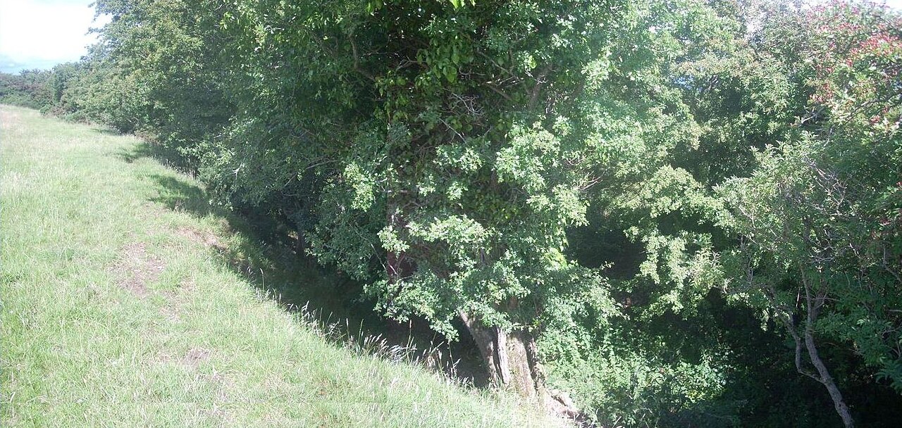 Dún Ailinne in Ireland