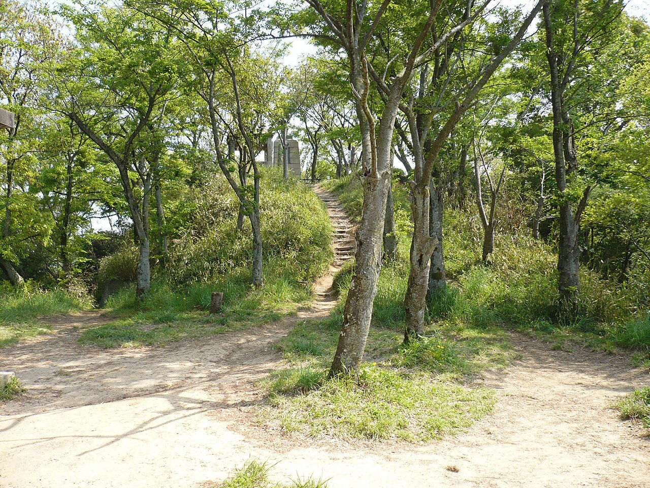 Iimoriyama Castle in Japan