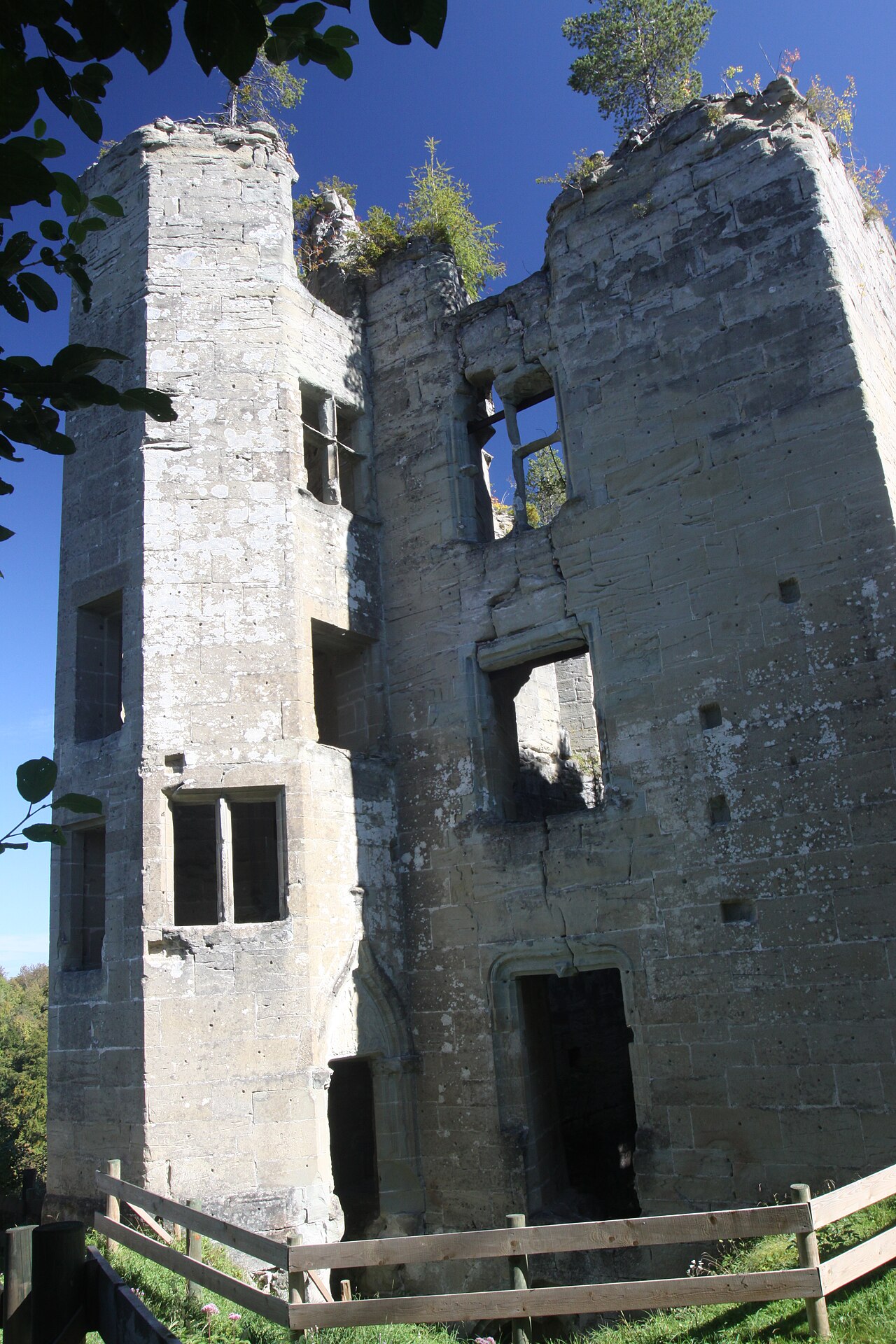 Illens, ruins of the medieval castle en Suiza