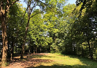 Baldern, medieval castle site