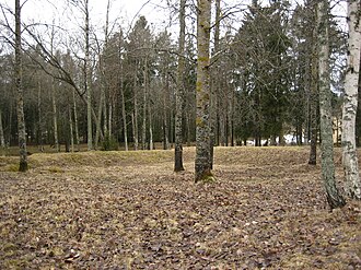 Liinmaa Castle
