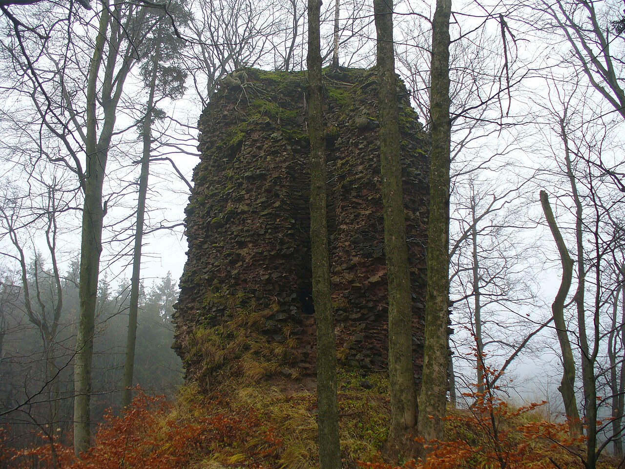 Radosno Castle у Польщі