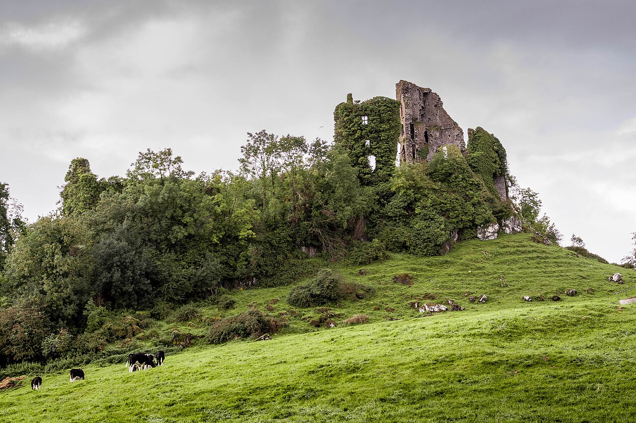 Carrigogunnell in Ireland