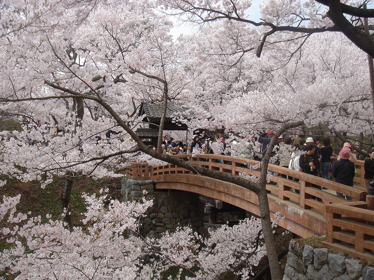Takatō Castle in Japan