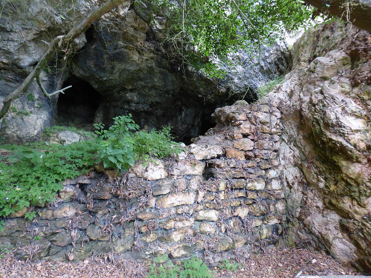 Burgruine Reinegg in Oostenrijk