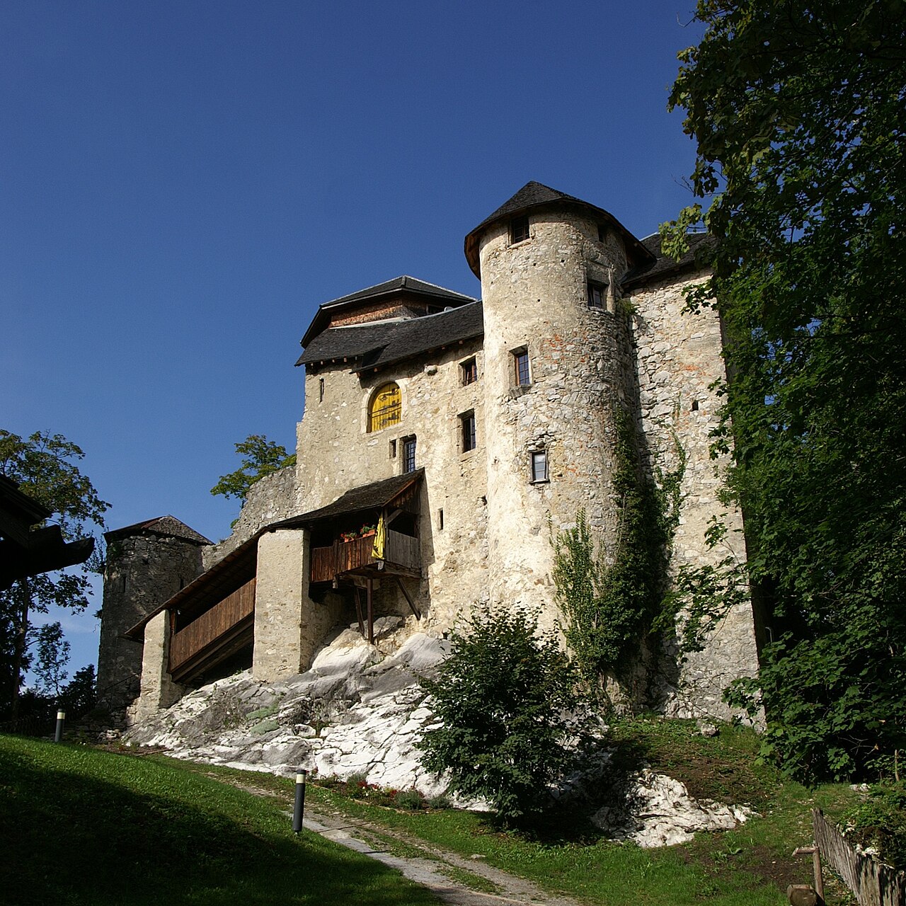 Burg Neu-Ems in Österreich