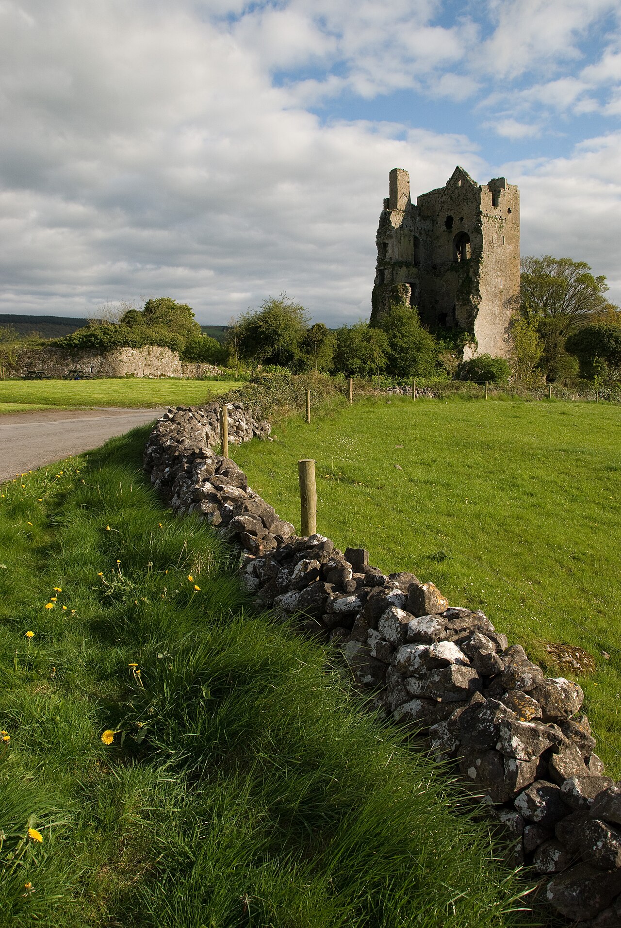 Cullahill Castle w Irlandii