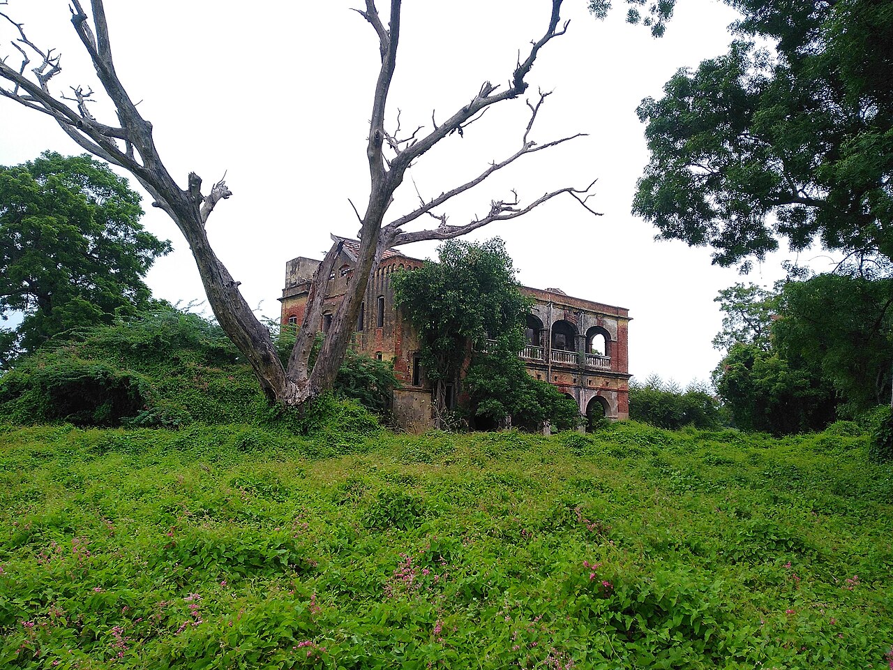 Fort St. David in India