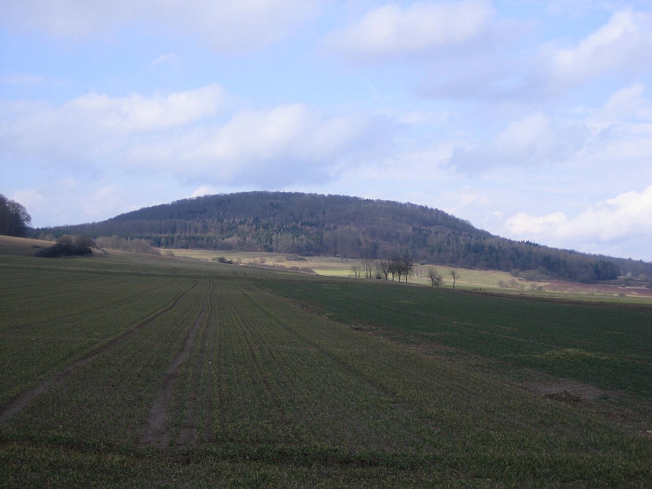 Altenburg in Germany