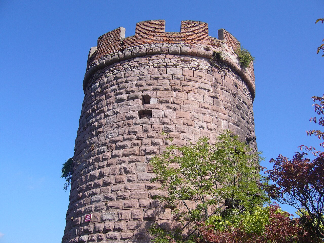 Château du Haut-Ribeaupierre we Francji