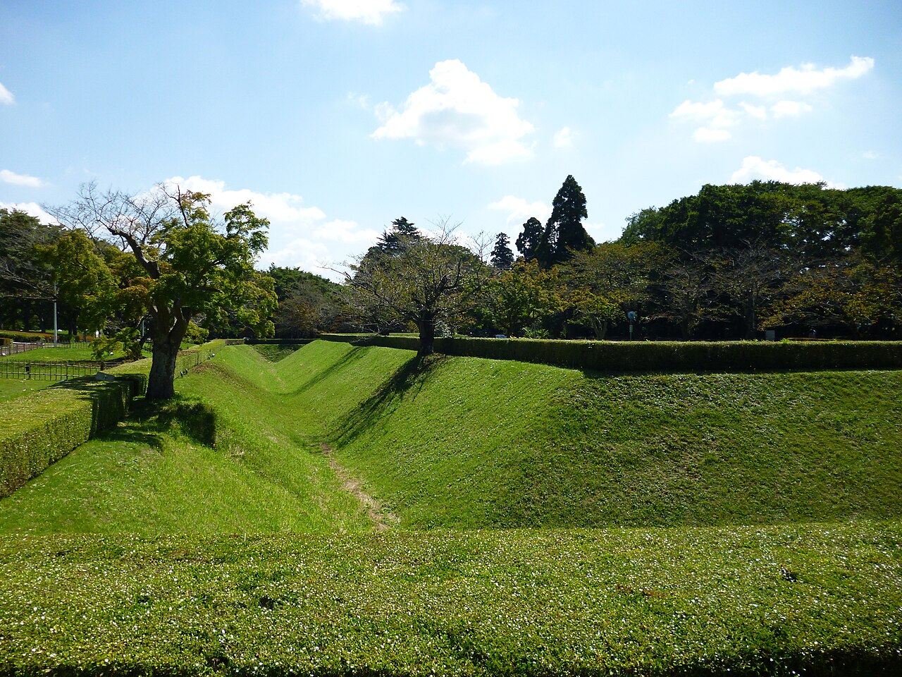 Burg Sakura in Japan