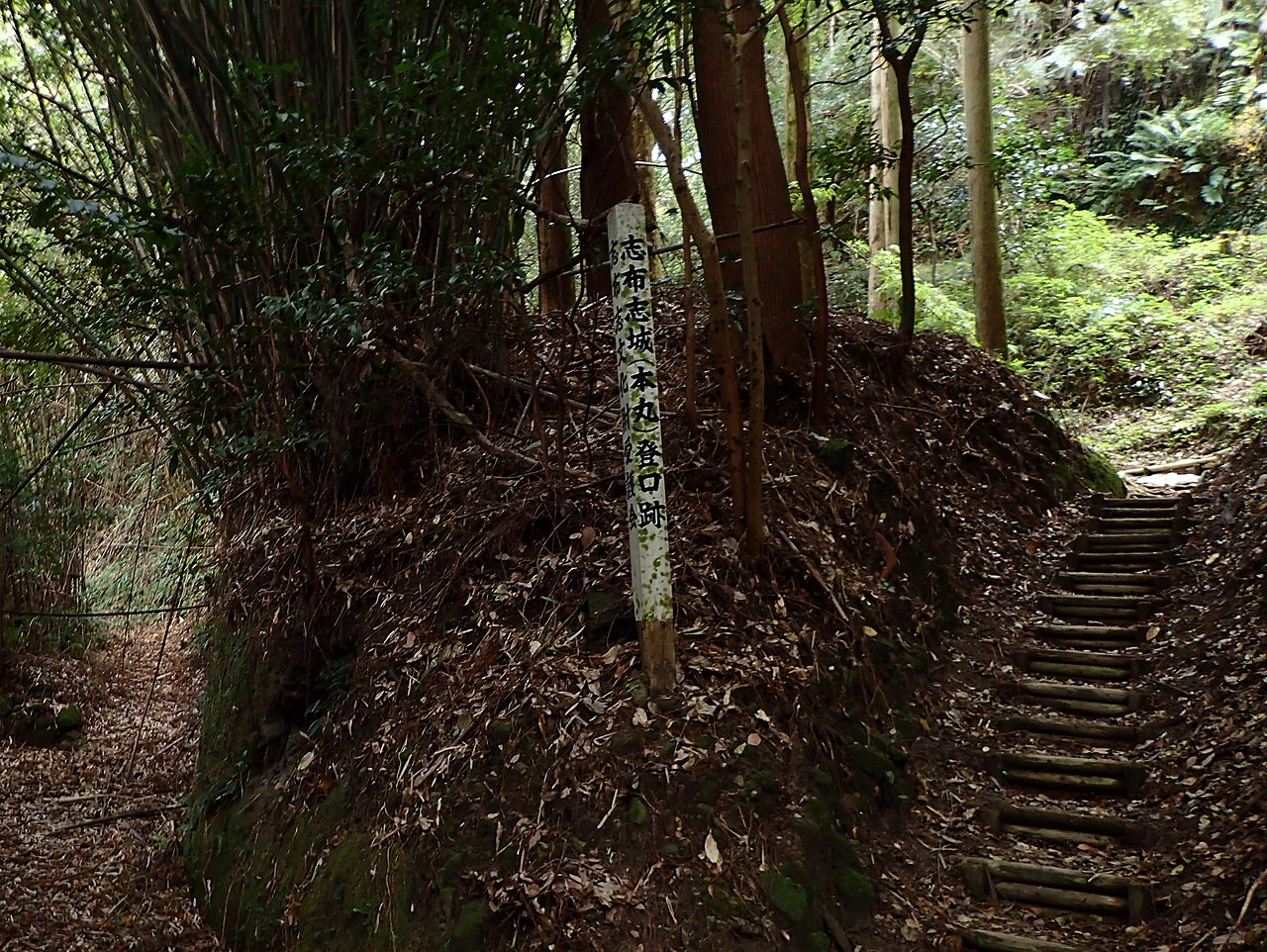 Shibushi Castle in Japan