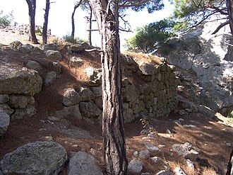 Kala-Fatlar