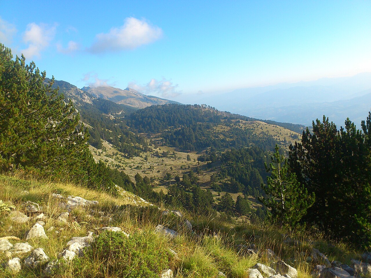 Tomornitsa w Albanii
