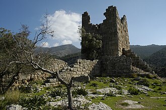 Aigosthena