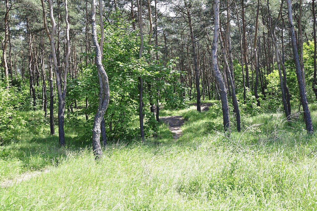 Fort Wawer in Poland