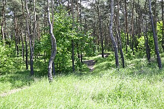 Fort Wawer